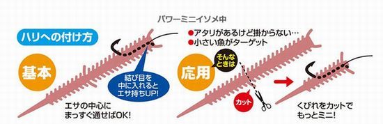 �ڥͥ��ݥ���ȯ���ۥ��եȥ��ڥޥ륭�塼�ۥѥ�ߥ˥����ᡡ2019ǯ7�� ����������������ȯ��