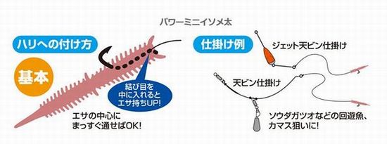 �ڥͥ��ݥ���ȯ���ۥ��եȥ��ڥޥ륭�塼�ۥѥ�ߥ˥����ᡡ2019ǯ7�� ����������������ȯ��