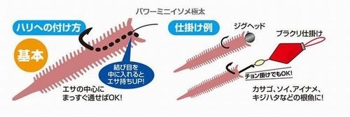 �ڥͥ��ݥ���ȯ���ۥ��եȥ��ڥޥ륭�塼�ۥѥ�ߥ˥����ᡡ2019ǯ7�� ����������������ȯ��