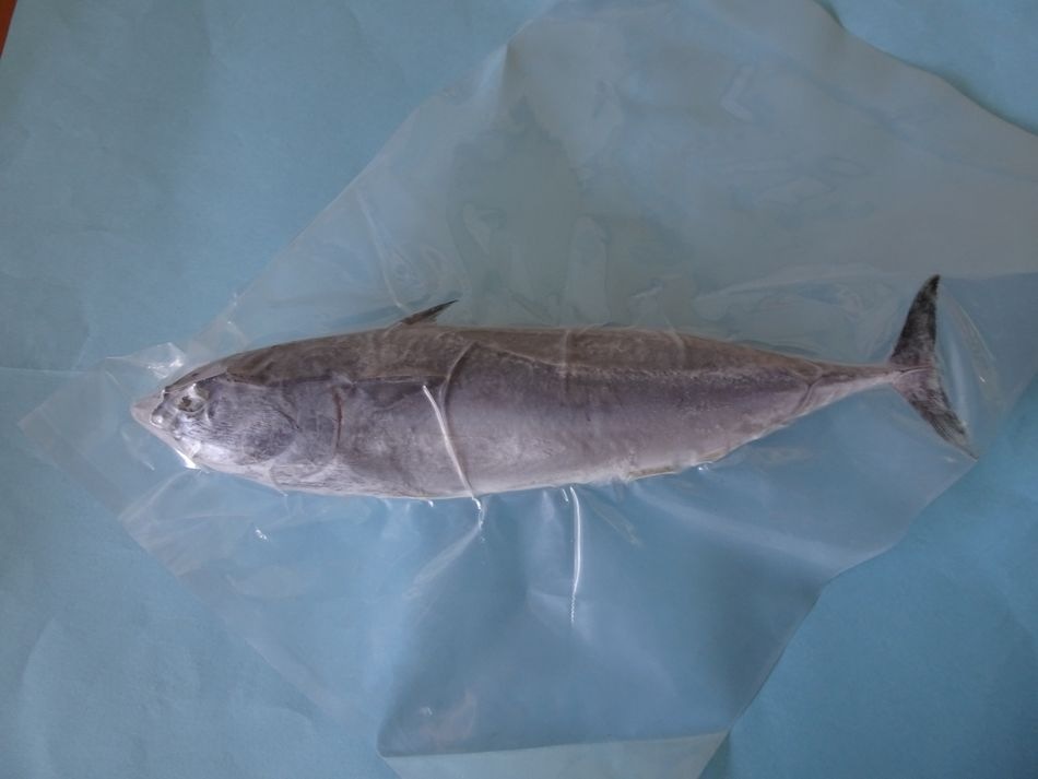 ��ꥨ�����ڥ��ĥ������ܡ�(���������ĥ�����400��500�����塡���ྦ�ʡ���ǯ�ο͵����ʤǤ��������ྦ��