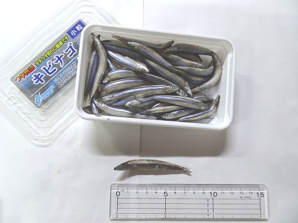 ��ꤨ���ڤĤ�ʪ������७�ӥʥ�����γ���˾����������������Υ��ӥʥ��Ǥ��������ྦ�ʡ�