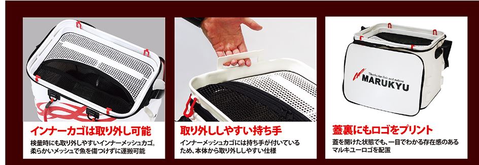 �ޥ륭�塼���ѥ�Хå��� �ӣ̣֡�2021ǯ9���˥塼����ȯ�䡪