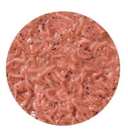 ��ꥨ�������ӥ��ѡ��ڥޥ륭�塼�ۡ�����ɱ����600����������å��դ���