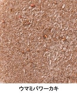 �ڥͥ��ݥ���ȯ���ۥ��ޥߥѥ��������3���5��