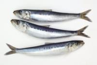 ����ꤨ���ۡ��ҥ����塼�����।�亮����200�����ꡡ�����ྦ�ʡ�