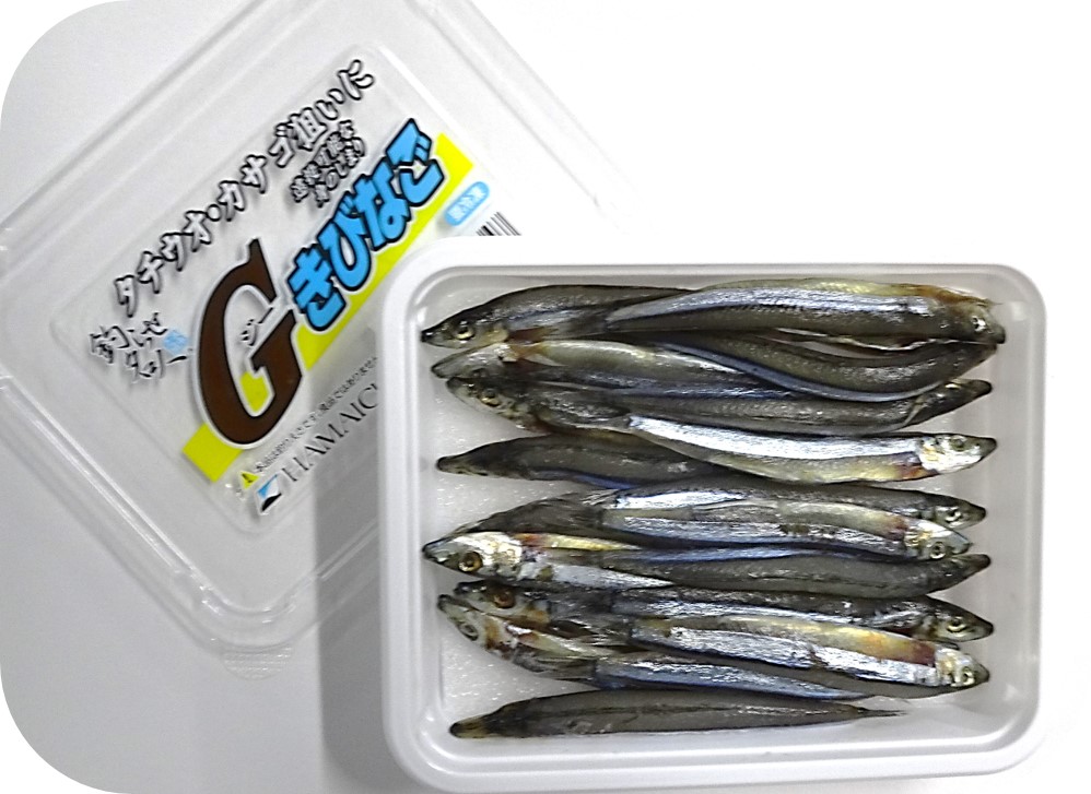 �����¡ۡڣȣ��ͣ��ɣãȣɡۡ��ǥ���� ���ӥʥ��������ྦ�ʡ�