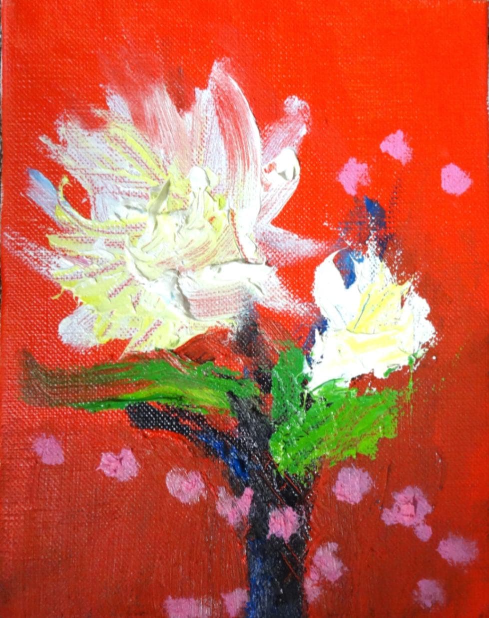 ���˺餤���� ys-015