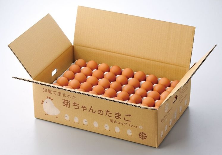 菊ちゃんの卵 5kg箱（約70個前後） ※送料込