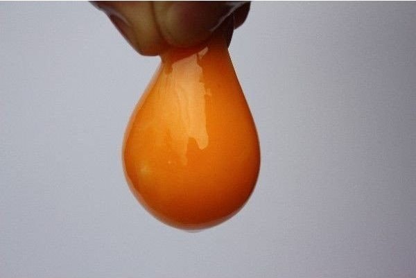 �Ƥ��������񤫤����ӥ��åȡ�������̵��