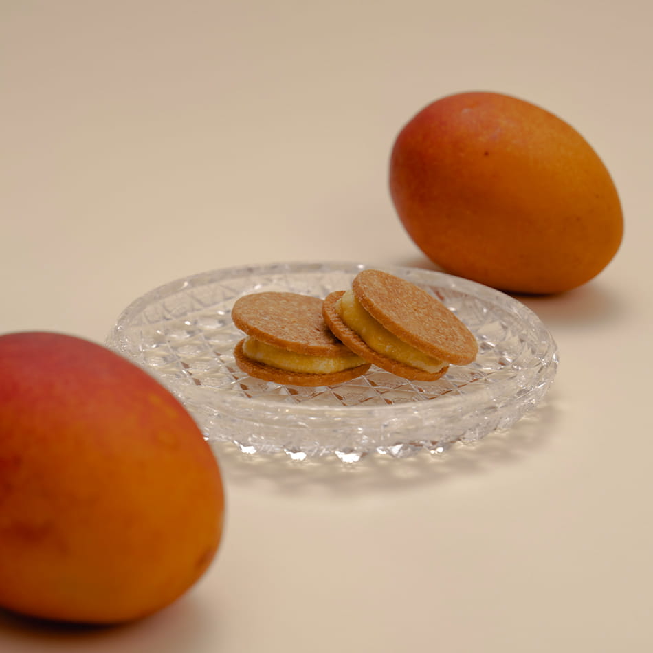 MANGO Butter Sand 12P BOX （瓶詰め クッキー24枚入り）