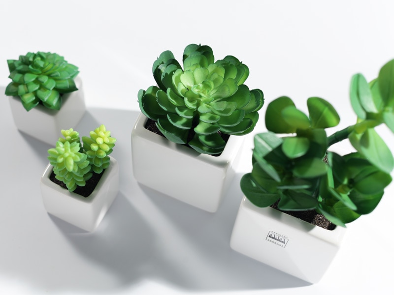 ��ASA Green Pot�� ���꡼��ݥå�