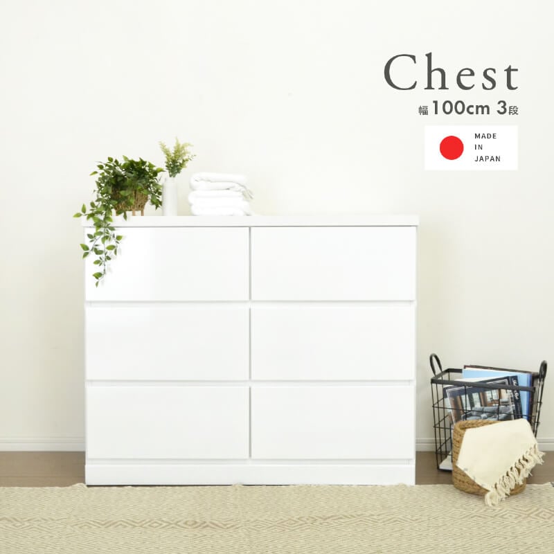   3 ̲ ӥ ӥ󥰥  ɥ꡼ ɥ꡼ ۥ磻 Ǽ 饤ɥ졼  100cm 40cm   ץ Ǽ    Ǽ   襤   ־ ֺ͡13