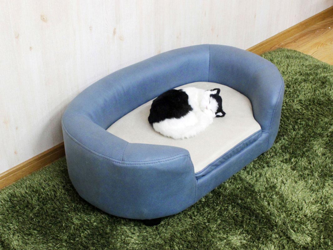 ���ä��������˶����ü����Ϥ���ѡ����̥�С����֥뼰�ڥåȥ��ե�����