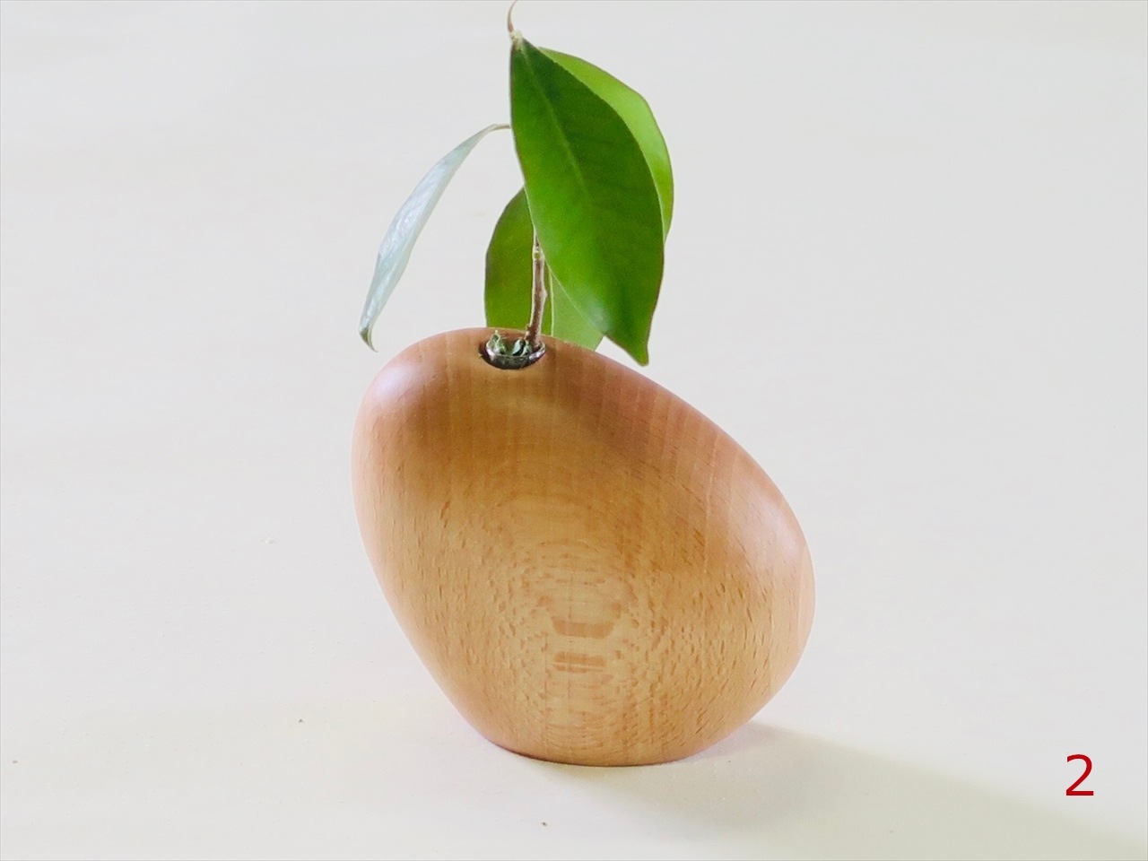 �����ޤ������ޤ� S