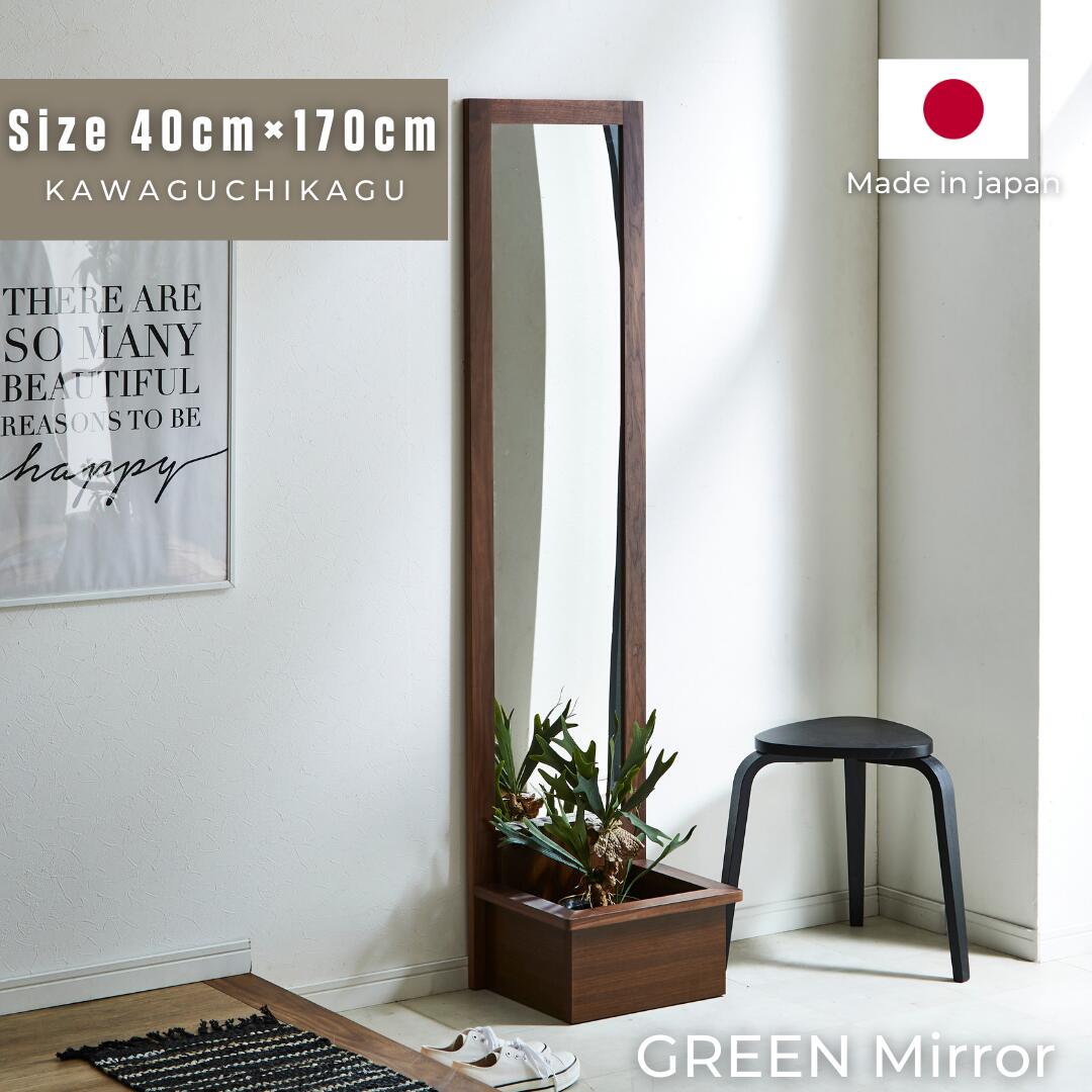 �� GREEN �ۥߥ顼������B