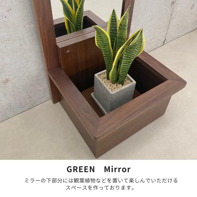 �� GREEN �ۥߥ顼������B