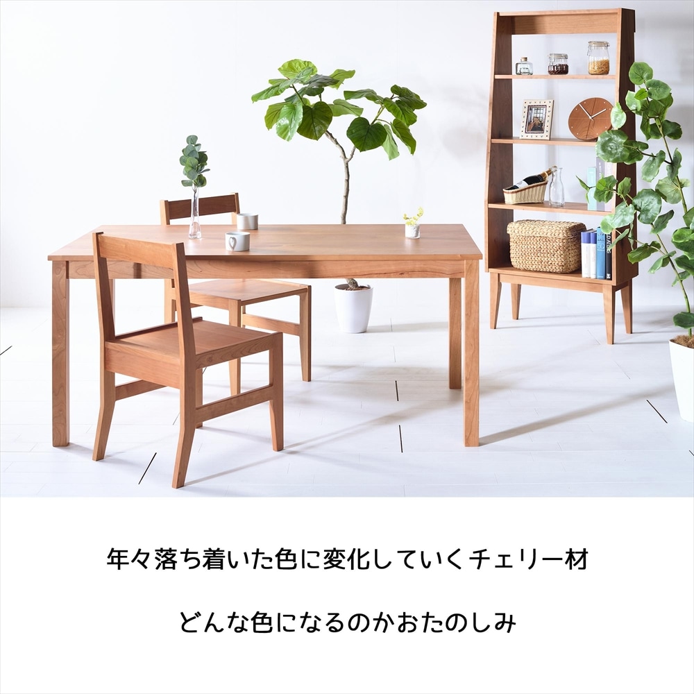 大川家具 地元生産品】 NO1ダイニングテーブル 120 オーク | 店舗