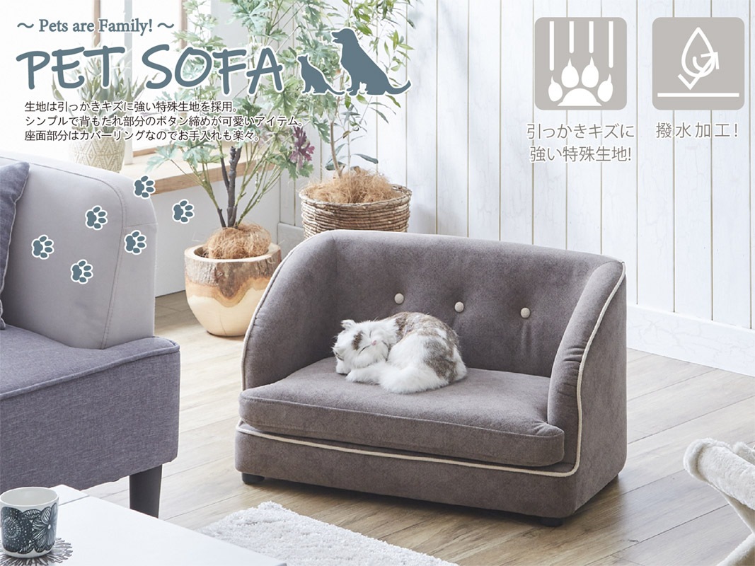 ���ä��������˶����ü����Ϥ���ѡ�����ץ�ǲİ��餷���ǥ�����Υڥåȥ��ե���!