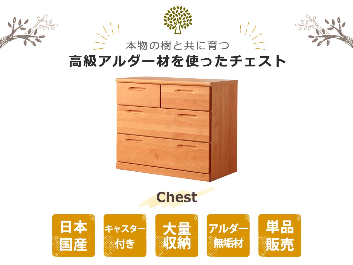    �����ƥ�٥åɡ��쥸����ɥ��꡼������������ñ�Ρ���