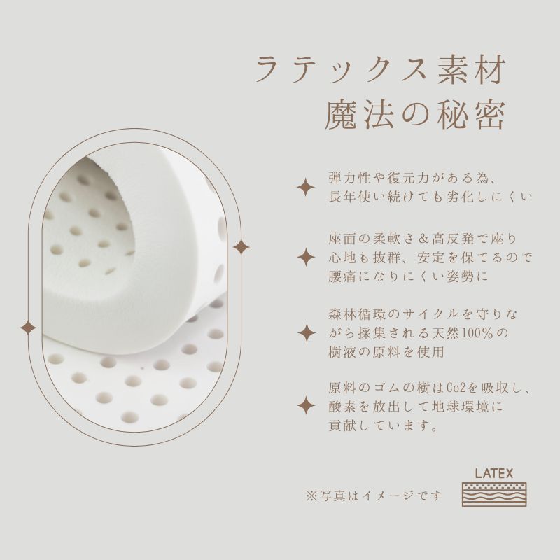 ��Ange�ۥ��ե������ġ���/1P/3P