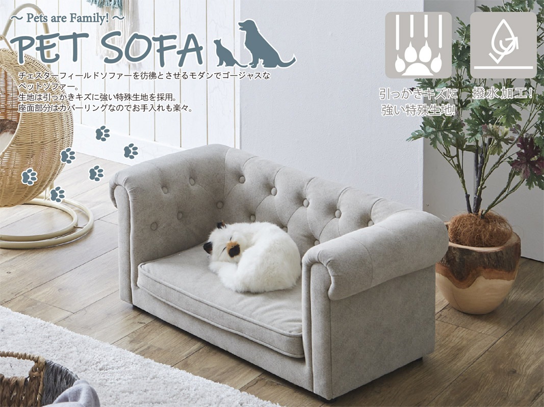 ���ä��������˶����ü����Ϥ���ѡ������������ե�����ɥ��ե��������ʤȤ���������ǥ������㥹�ʥڥåȥ��ե�����