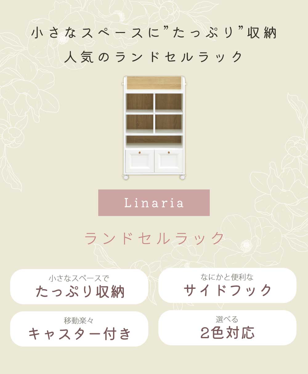 ɥåñʡê졡ץ󡡥աåۥ磻ȡʥ롡Ǽưê60cmPBǡλҡˤλҡ´ˡץ쥼