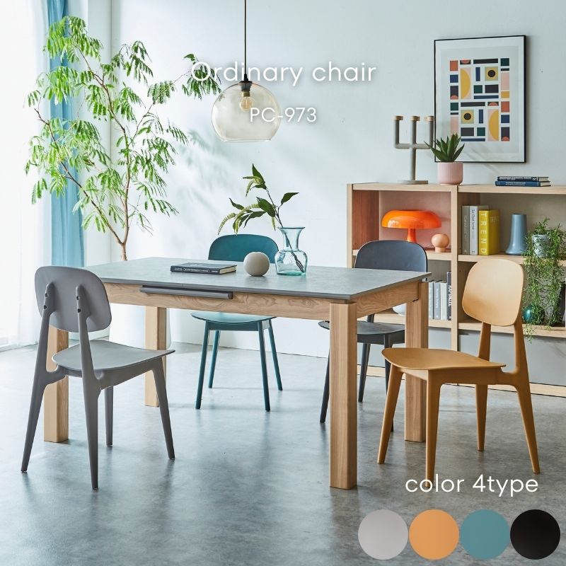 PC-973 �����˥󥰥�����