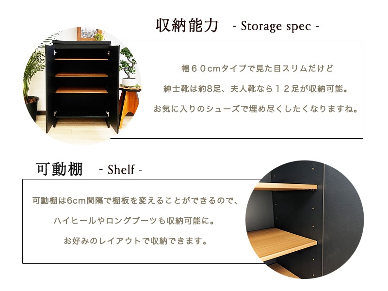 ȶ  塼ܥå  ॿ 60 Ĵ17010099