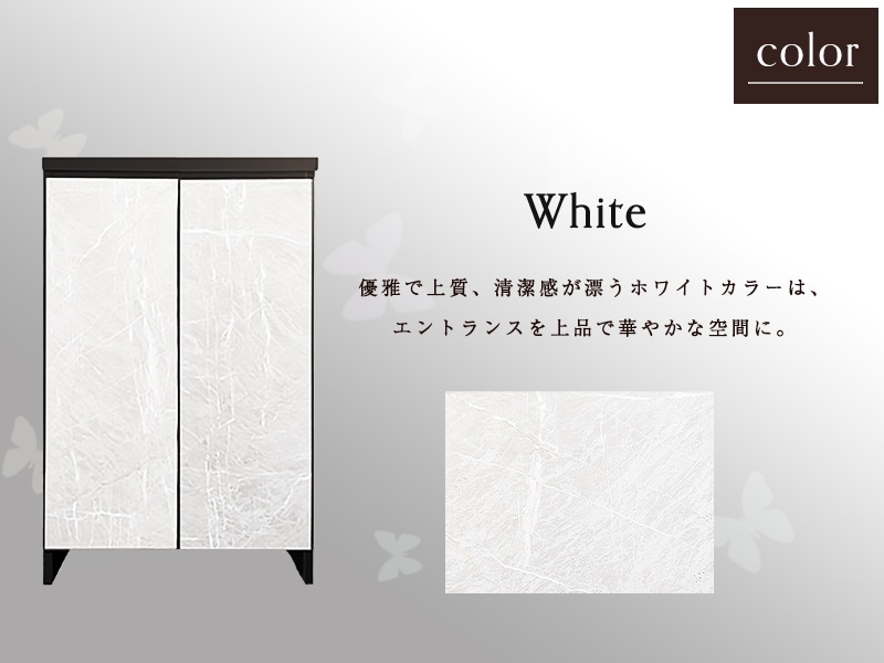 ȶ  塼ܥå  ॿ 60 Ĵ17010099