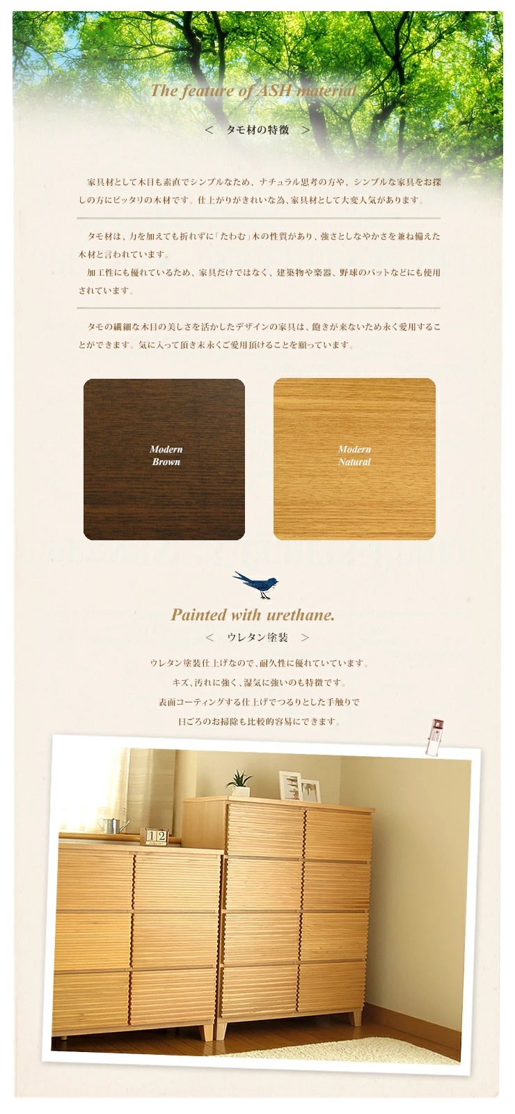    ŷ ̵      롼С ʻ 804 Ǽ  å   ֥饦  ʥ ۥ磻  ̵ ̵