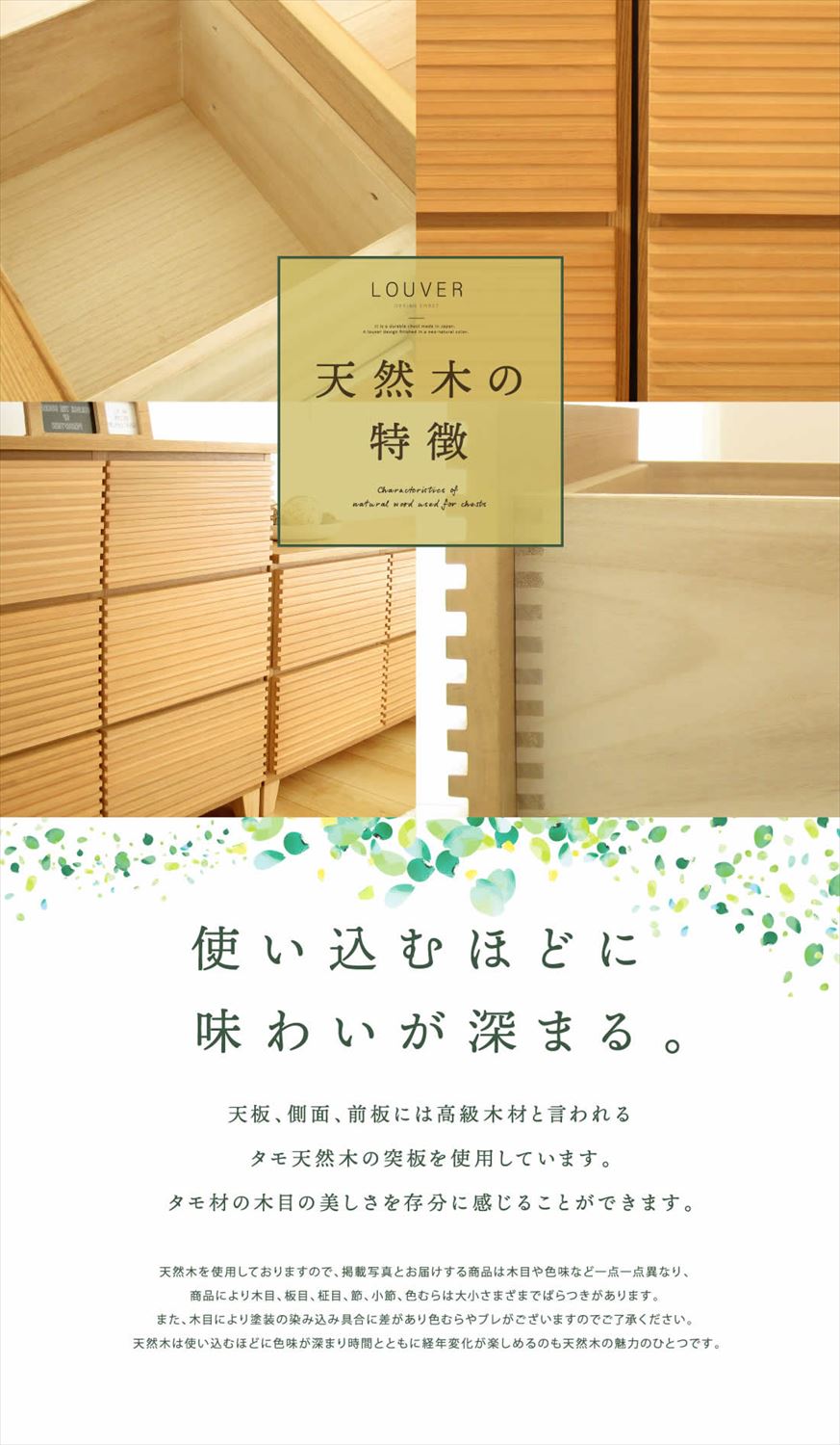 [֥ӥդ]    ŷ      롼С ʻ 1602 Ǽ ̵  ʥ ̵