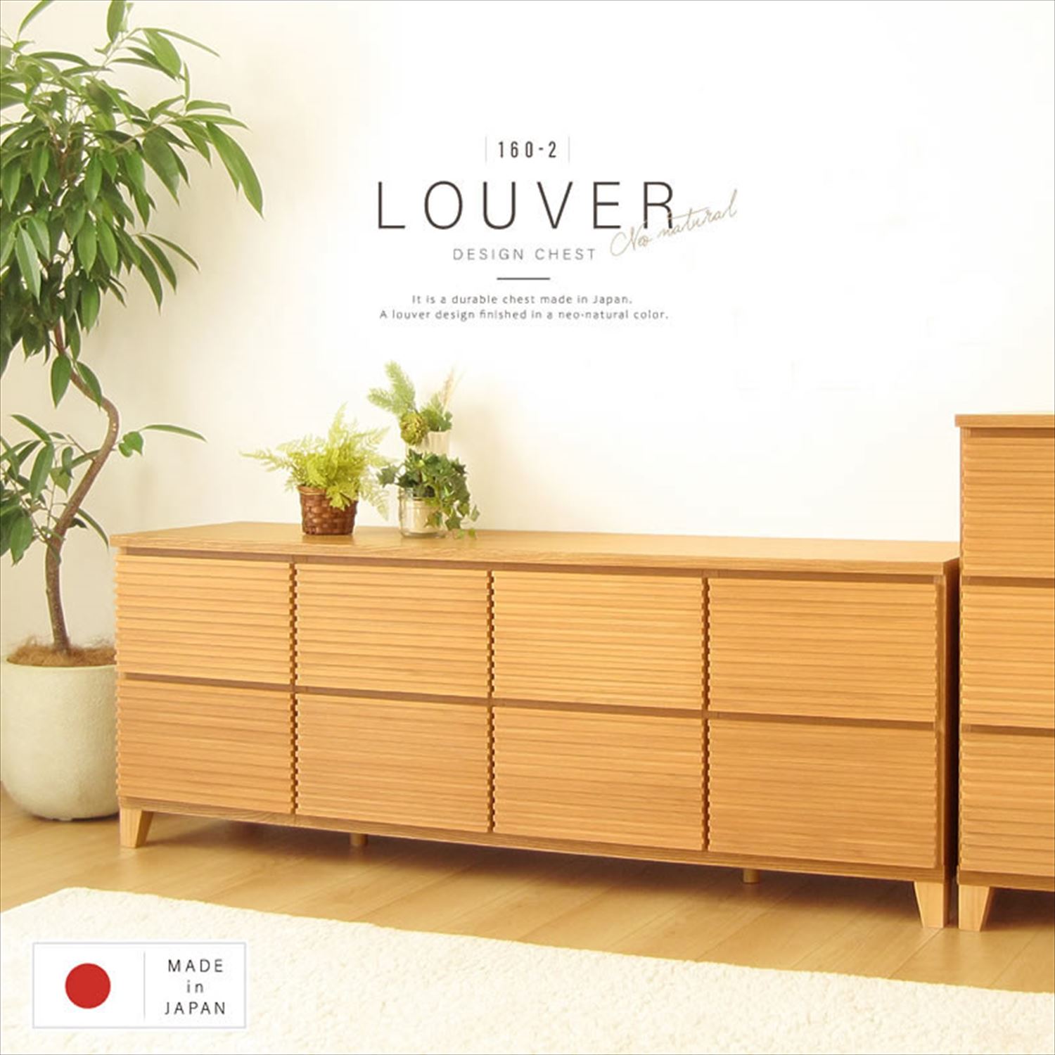 [֥ӥդ]    ŷ      롼С ʻ 1602 Ǽ ̵  ʥ ̵