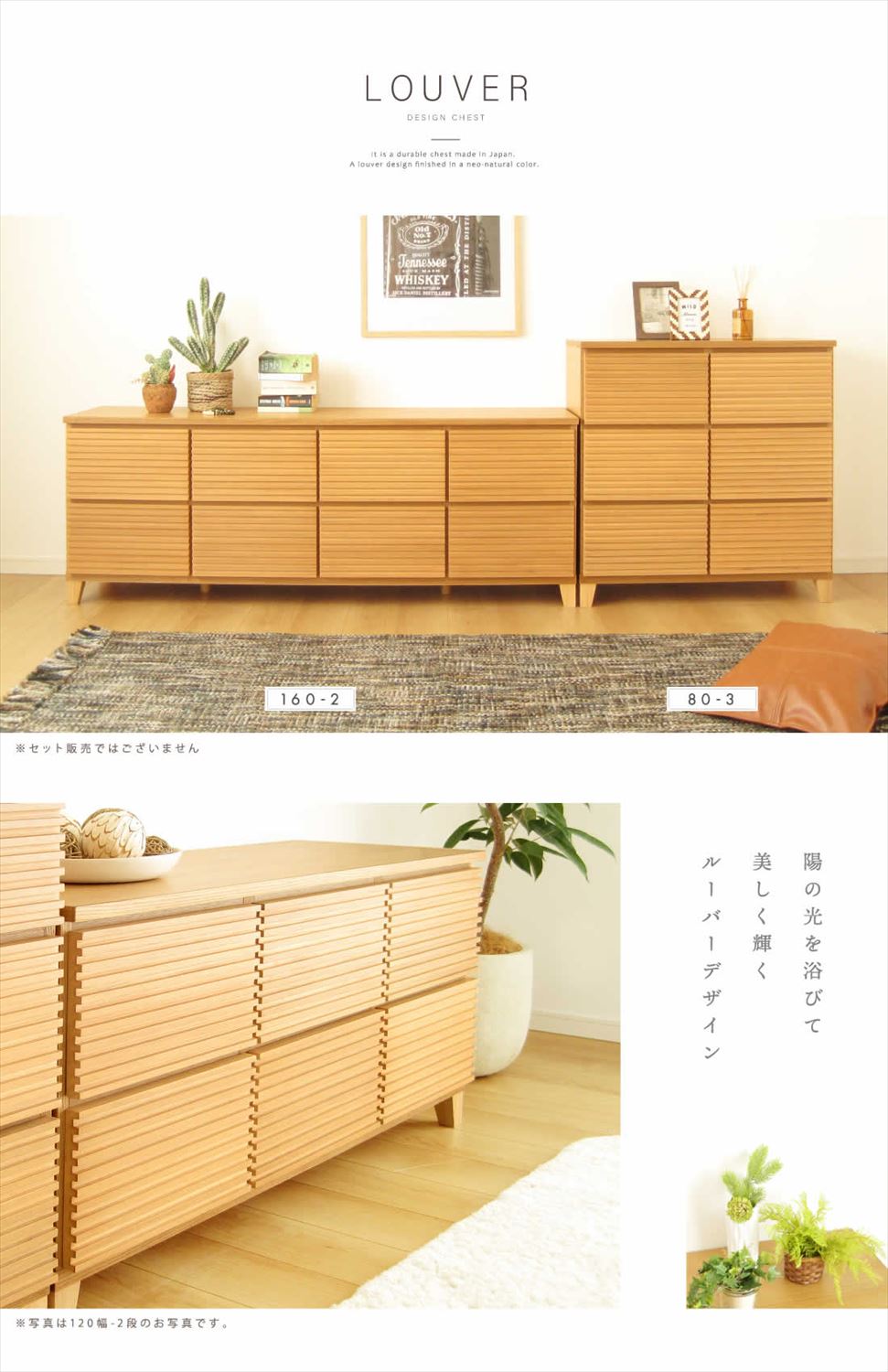 [֥ӥդ]    ŷ      롼С ʻ 1602 Ǽ ̵  ʥ ̵