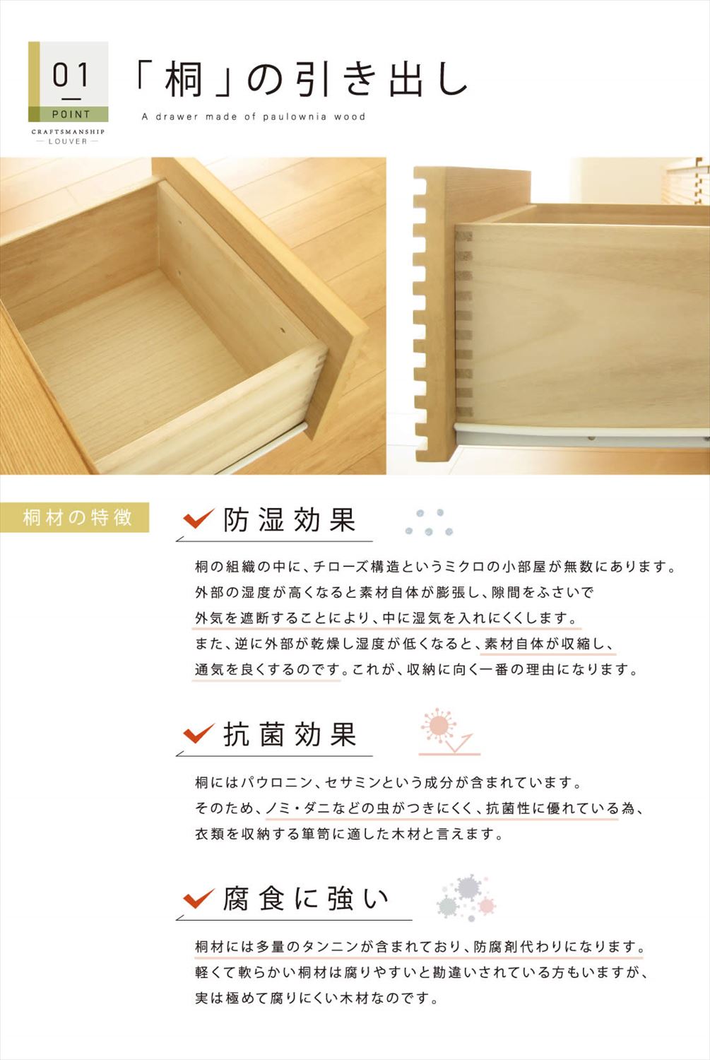 [֥ӥդ]    ŷ      롼С ʻ 1602 Ǽ ̵  ʥ ̵