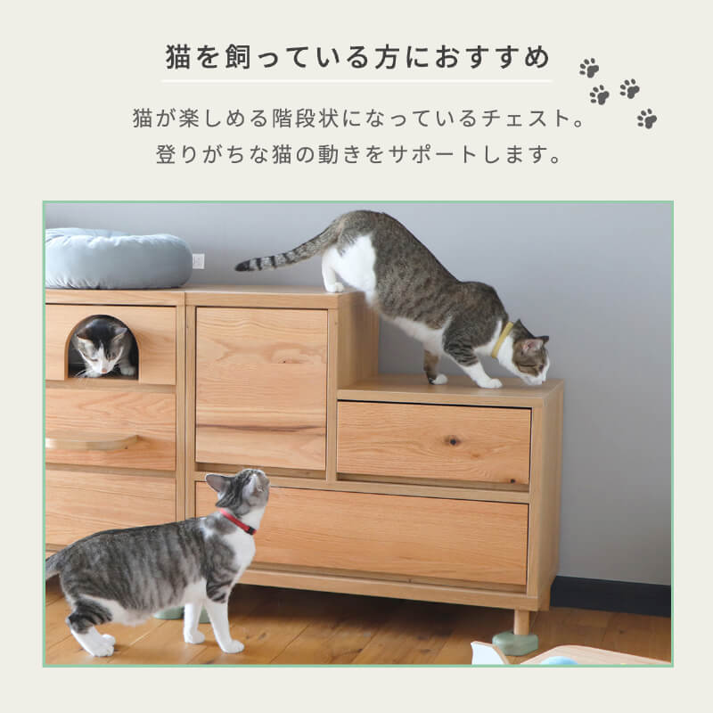 ǭ �������� ������������ ����ӥͥå� ǭ�ȶ� ������ �� ���� ̵���� ŷ���� �ڥåȲȶ� �ͥ����� ��Ǽ�դ� ����å� ������� �ڥå����� ��ӥ󥰼�Ǽ ê �����Ф� �̲� ����ץ� ǭ��ͷ�٤� �ʺ��դ� �Ҷ����� ��Ǽ ���Ǽ ����åȥ������� ��75 �־�����סֺ͡�9��