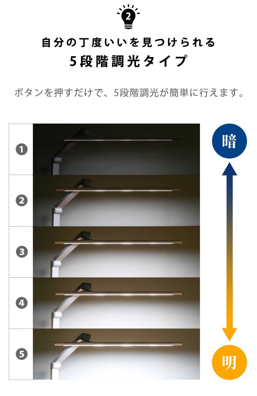 �ڳؽ��ǥ����ѡ�LED�饤�ȡ�L�������ॿ���סۡ�Led�饤�ȡ��������ǥ����饤�ȡ������ס�����ץ롡5�ʳ�Ĵ�����ƥ�����led���饤�ȡ��ǥ����������ܤ�ͥ�������ؽ������ٶ��������뤵Ĵ����Ĵ�����ʥ��͡�Ĺ��̿