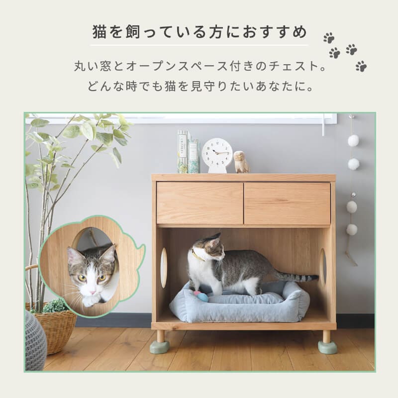 ǭ �������� ������������ ����ӥͥå� ǭ�ȶ� �ȥ��� ��Ǽ ������ �� ̵���� ŷ���� �ڥåȲȶ� �ͥ����� ��Ǽ�դ� ����å� ������� �ڥå����� ��ӥ󥰼�Ǽ ê �����Ф� �̲� ����ץ� �ڥåȥȥ��� ǭ��ͷ�٤� �Ҥɤ����� ��Ǽ ���� ��75 �־�����סֺ͡�9��