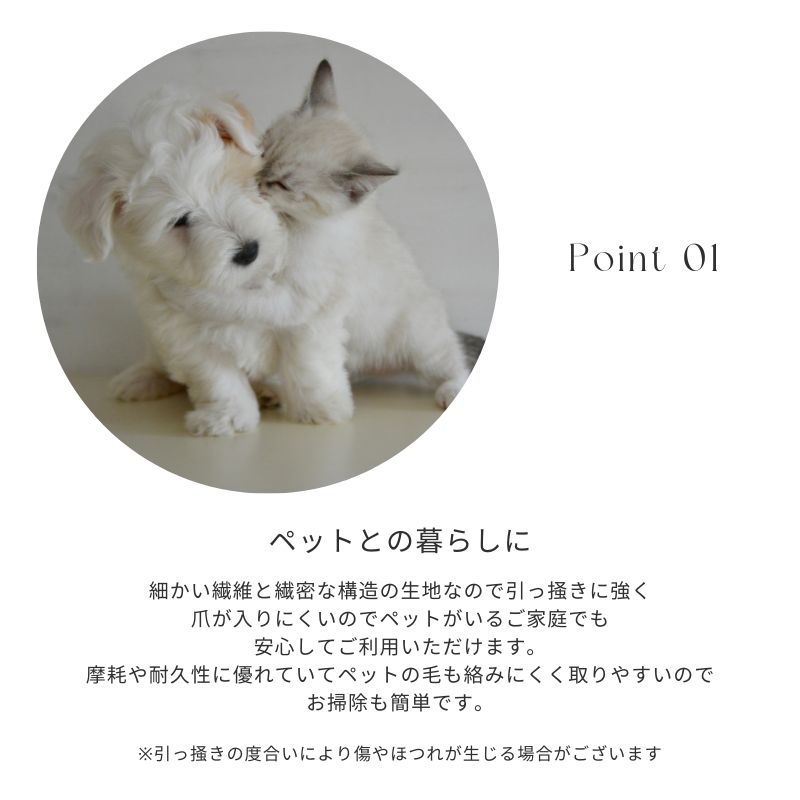 ��SERECT4SOFA �ۥ��ġ���ڥ��������졼��