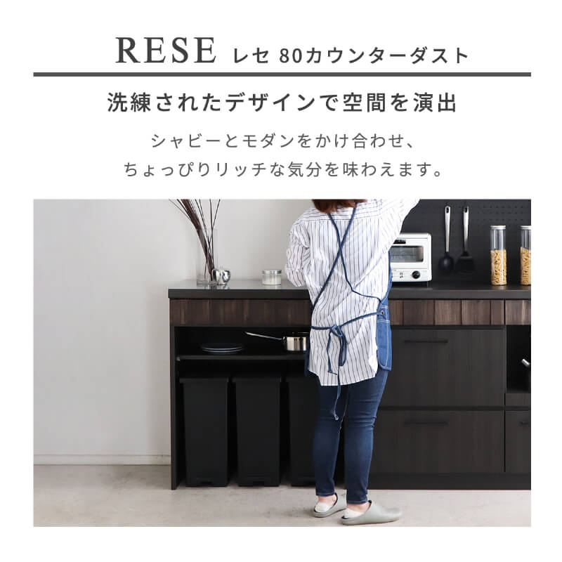 キッチンカウンター ダストボックス ゴミ箱収納 食器棚 ロータイプ