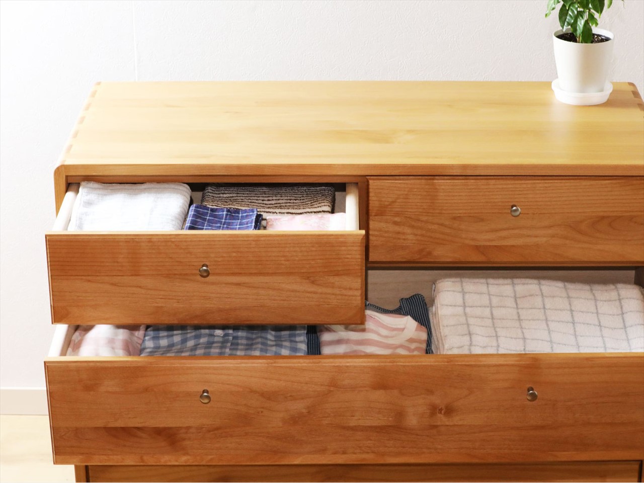 ڹ񻺡kumukumu100-4ʥ