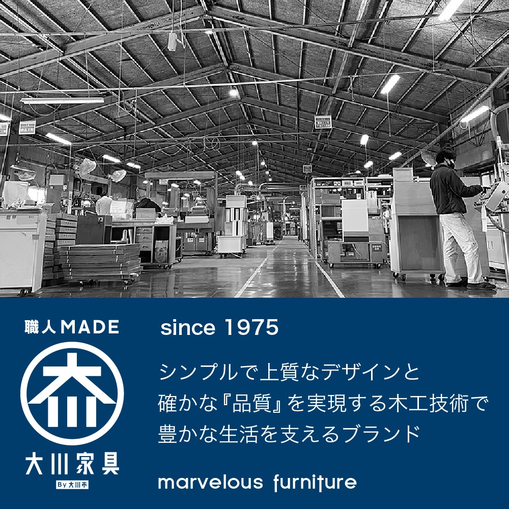 å󥫥󥿡 åǼ ڥꥢ2 120CT 120cm 45cm ⤵101cm  Ӵ ȡ Ĵ Ǽ 饤ɥ󥿡 Ǽ ե륹饤ɥ졼  ץ ̲ ֻڤ Ĵ ֥å  ۥ磻 