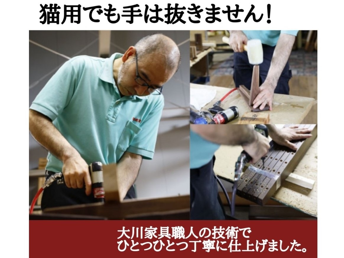 �ͥ��ȶ񡡥��ե�������