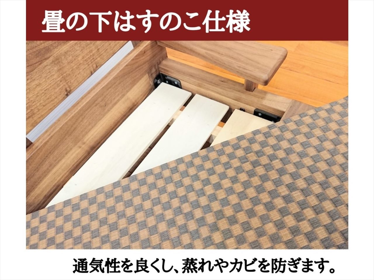 �ͥ��ȶ񡡥��ե�������