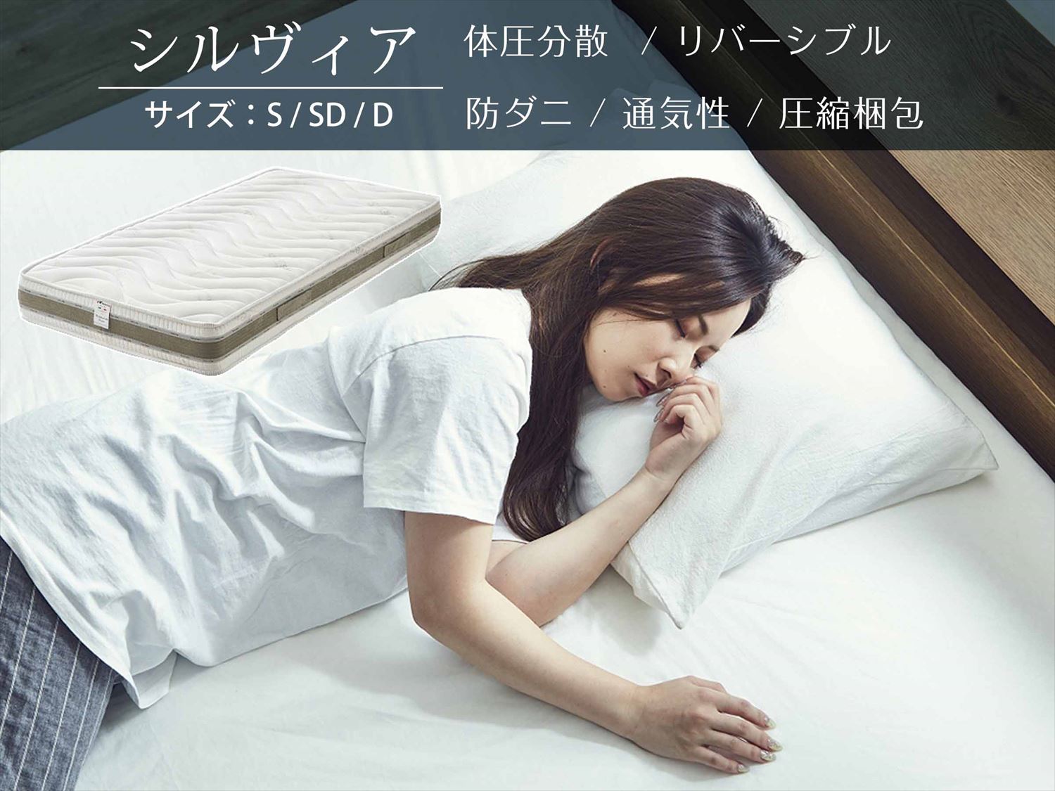    ե쥯եåޥåȥ쥹ꥢ٤륵SSDD