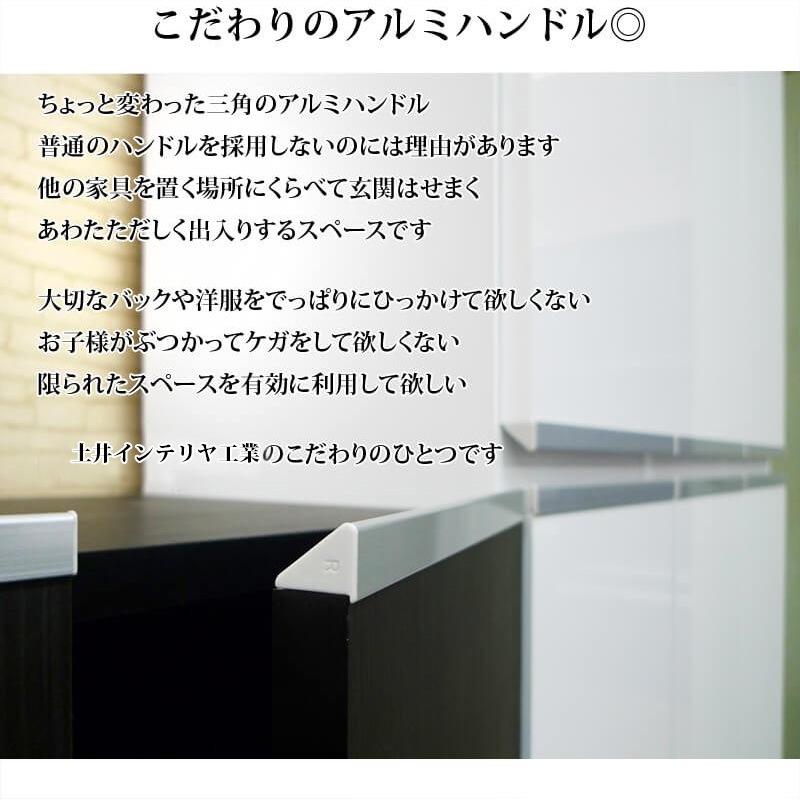 土井インテリヤ シューズボックス 下駄箱 シューズボックス 靴箱 下駄箱 【リアル 50HI 上下鏡】 幅50cm