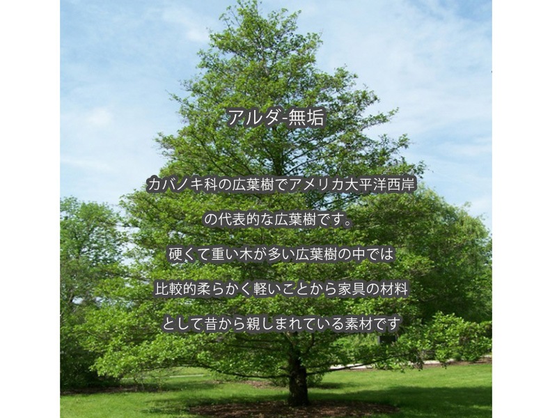 ������̵���ۥ����ɥơ��֥� �٥åȥ����ɥơ��֥� ���ե��ơ��֥� �ơ��֥� �ʥ����� �֥饦�� 40�� �ӥå�/VITS