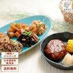 送料無料！【国産牛・国産豚のハンバーグ】 ハンバーグお試しセット 10種類×1パック (化学調味料無添加の3種類のジューシーなハンバーグと化学調味料無添加の7種類のお惣菜)