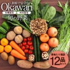送料無料！【有機野菜と特別野菜と果物のセット】旬の野菜 12品セット (農家さんが一生懸命育てた、新鮮で無農薬の有機野菜セットです)