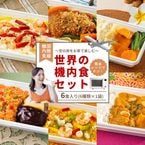 【世界の機内食】 ごはん付き 送料無料！ 機内食6食セット お家にいながら世界旅行！ 国際線で実際に使われている機内食を冷凍便でお届けします。 (化学調味料無添加ではございません) 