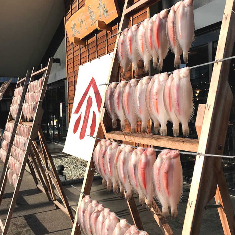 子持ち干しやなぎ 700g